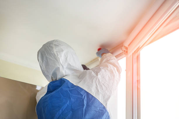 Why You Should Choose Our Mold Remediation Services in Houston, TX